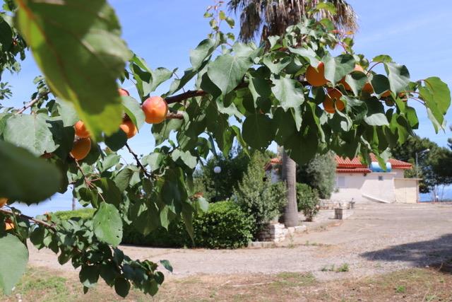 Image No.10-3 Bed House/Villa for sale