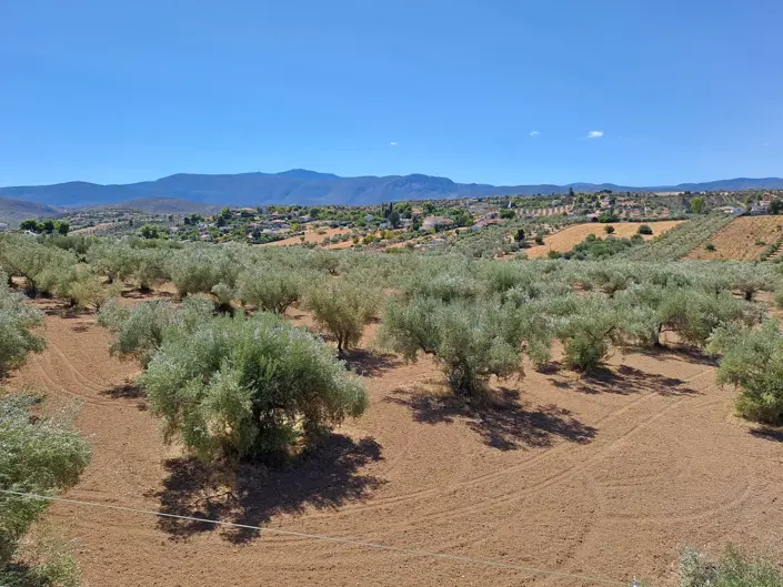 Image No.3-5 Bed House/Villa for sale