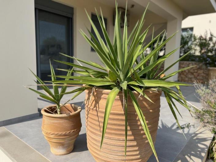 Image No.23-4 Bed House/Villa for sale