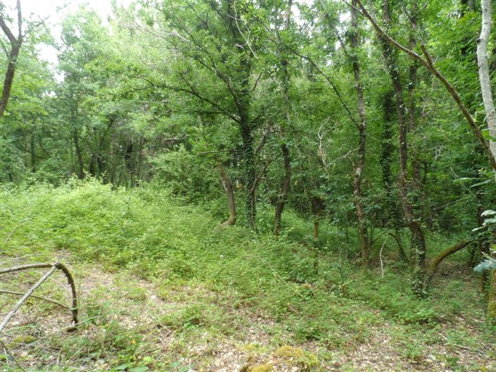 Image No.4-Property for sale