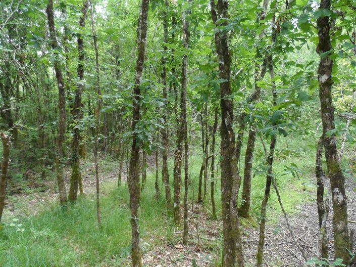 Image No.6-Property for sale