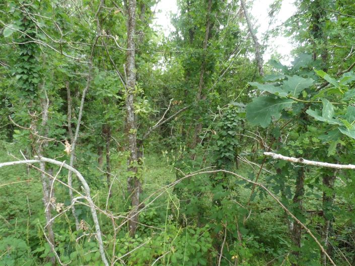 Image No.8-Property for sale