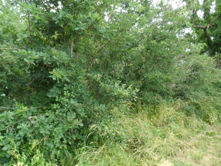 Image No.9-Property for sale