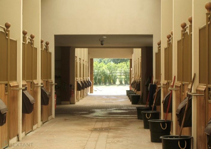 Image No.16-13 Bed Property for sale