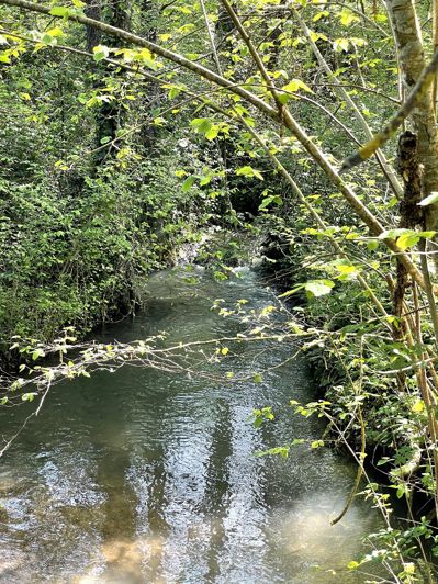 Image No.26-5 Bed Property for sale