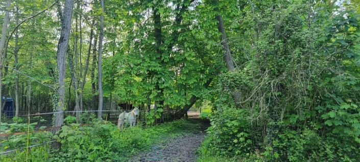 Image No.6-6 Bed Property for sale