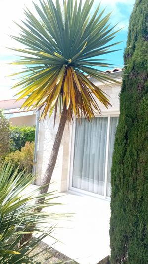 Image No.6-3 Bed Property for sale