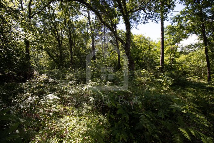 Image No.1-Property for sale
