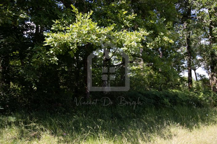 Image No.2-Property for sale