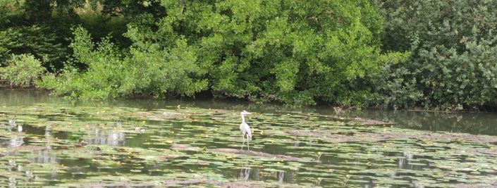 Image No.2-4 Bed Property for sale