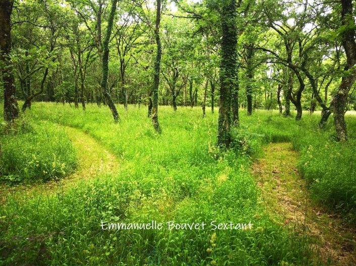 Image No.6-Property for sale