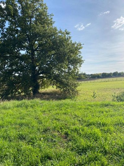 Image No.16-Propriété de 8 chambres à vendre à Cherval