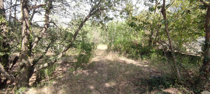 Image No.8-5 Bed House for sale