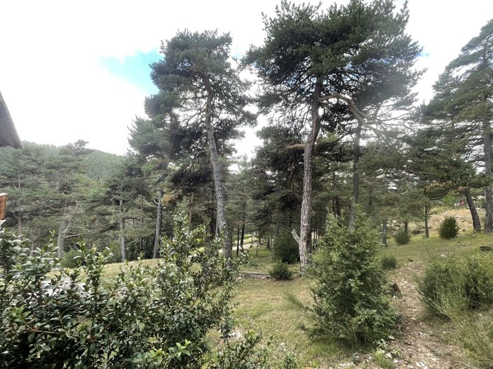 Image No.5-House for sale