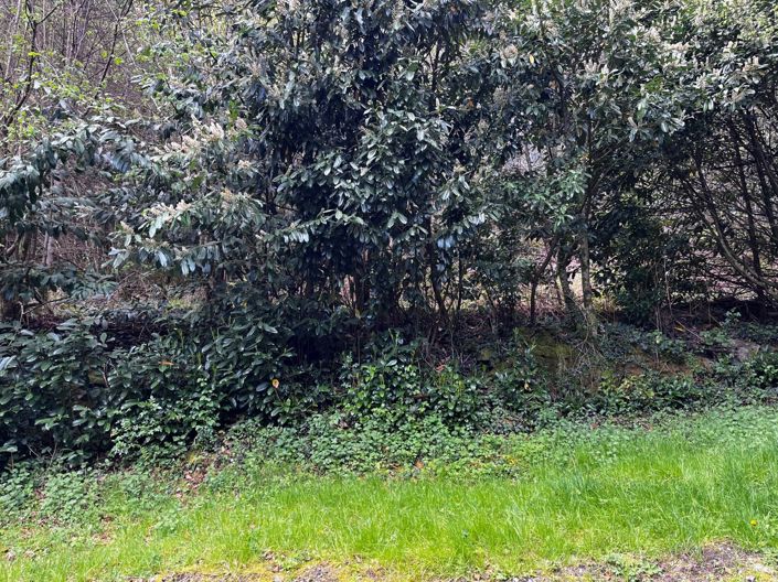 Image No.8-1 Bed Property for sale