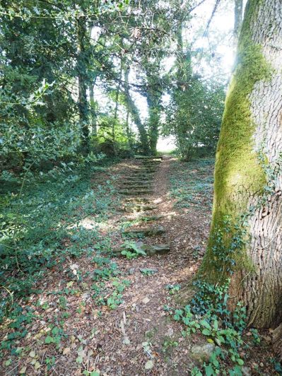 Image No.16-6 Bed Property for sale