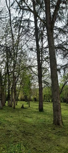 Image No.23-5 Bed Property for sale