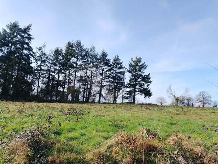 Image No.12-2 Bed House for sale