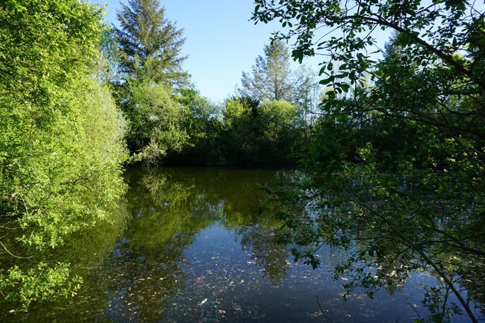 Image No.3-4 Bed Property for sale