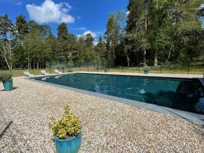 Image No.3-Chateaux for sale