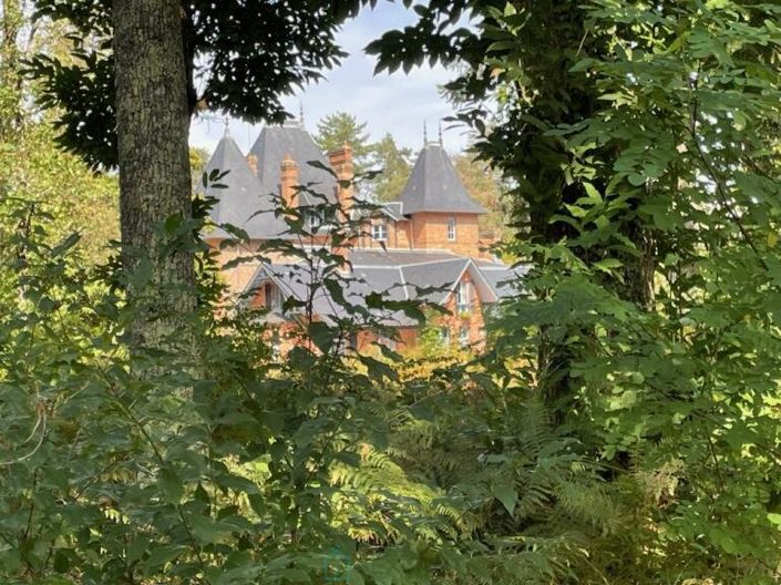 Image No.4-Chateaux for sale