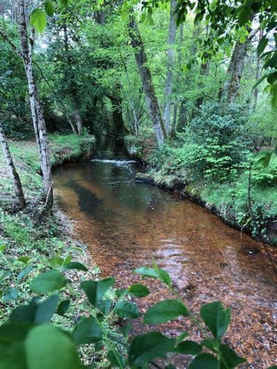 Image No.5-Chateaux for sale