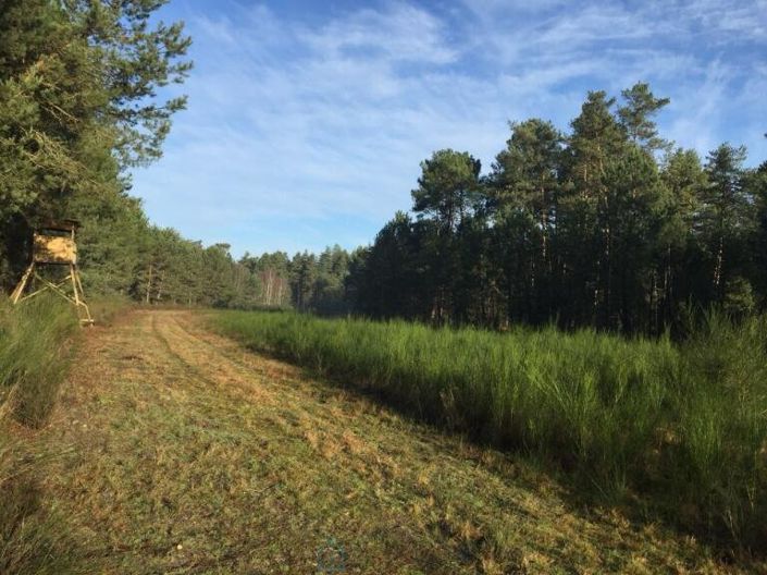 Image No.7-Chateaux for sale