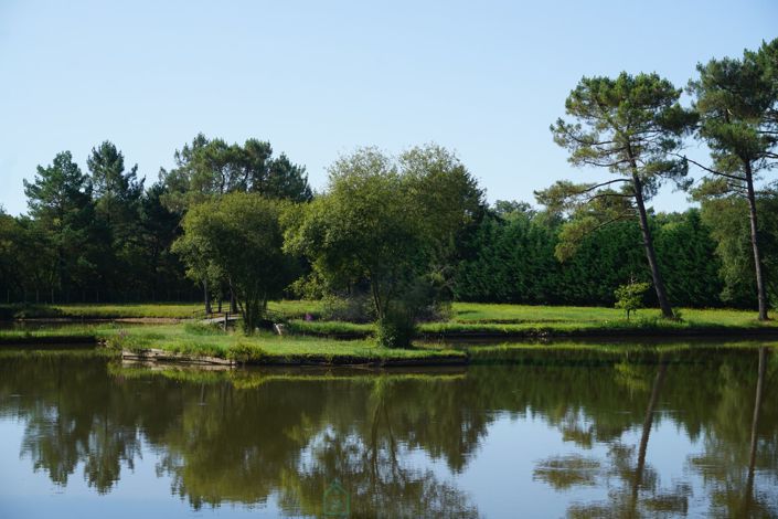 Image No.11-4 Bed Property for sale