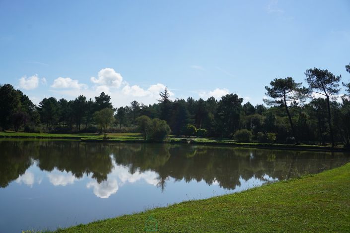 Image No.13-4 Bed Property for sale