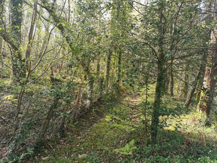 Image No.15-Property for sale