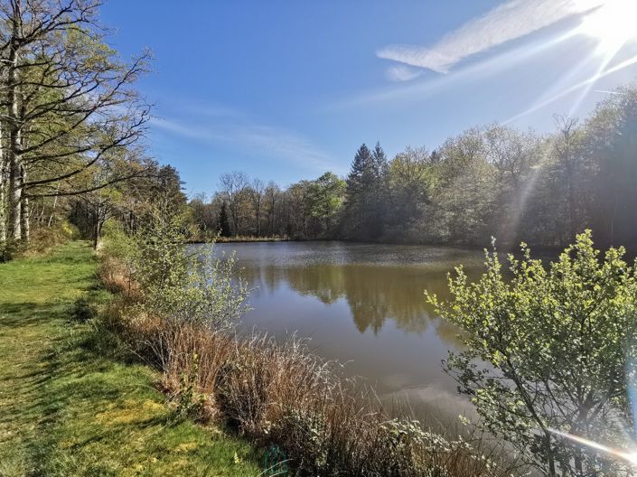 Image No.7-Property for sale