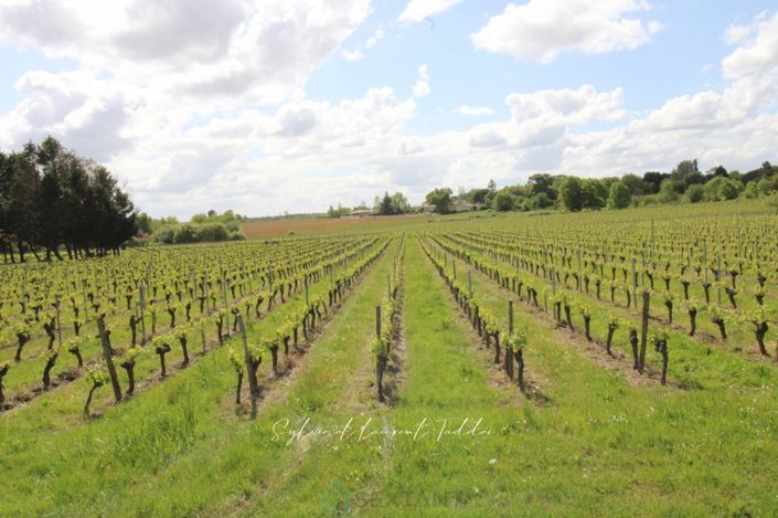 Image No.2-5 Bed Property for sale