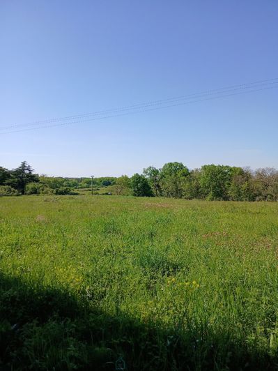 Image No.1-Property for sale