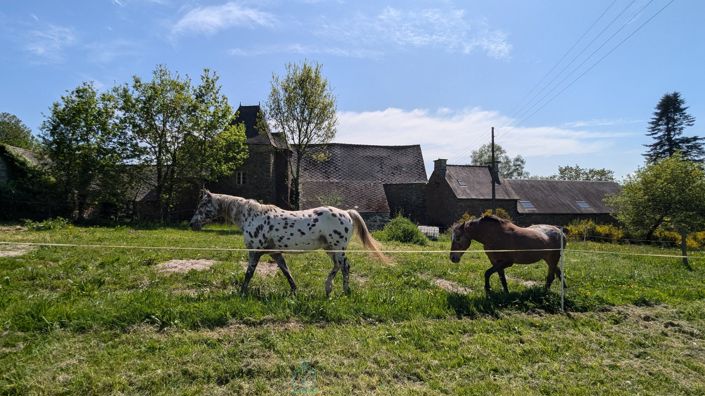 Image No.4-4 Bed Property for sale