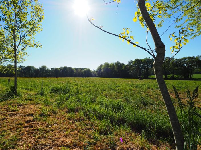 Image No.17-4 Bed House for sale