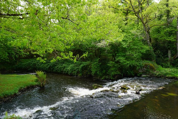 Image No.10-15 Bed Property for sale