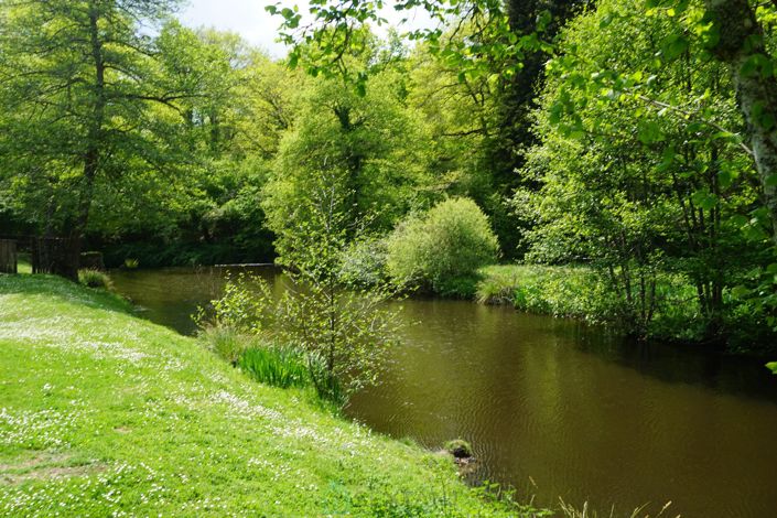 Image No.15-15 Bed Property for sale