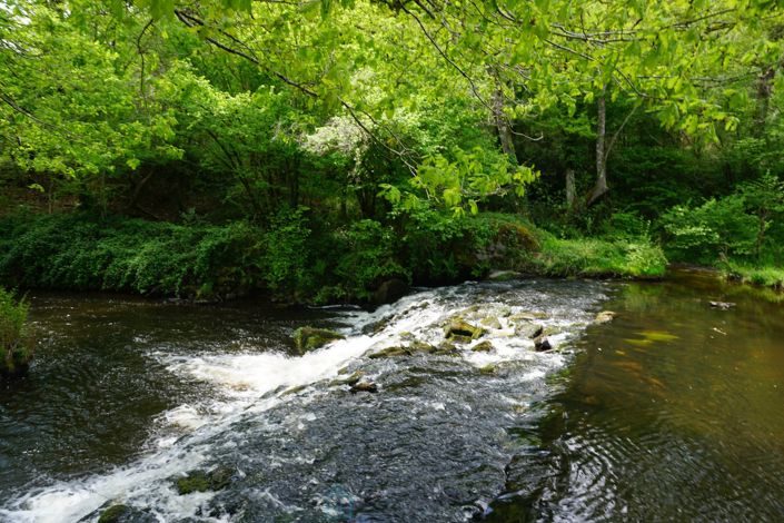 Image No.17-15 Bed Property for sale