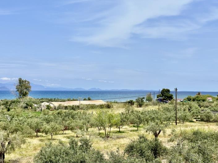 Image No.28-2 Bed House for sale