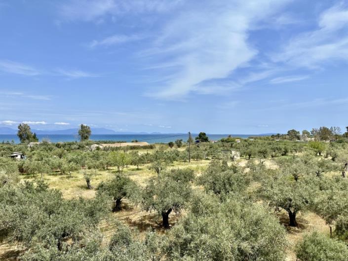 Image No.27-2 Bed House for sale