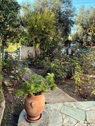 Image No.26-4 Bed House for sale