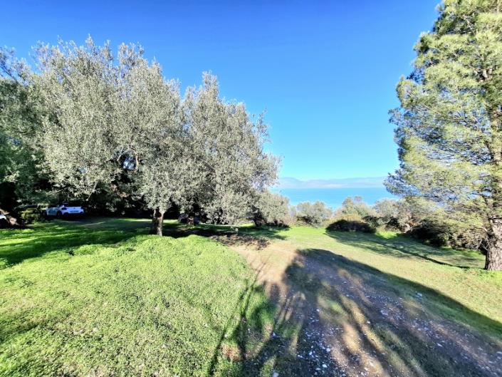 Image No.33-3 Bed House for sale