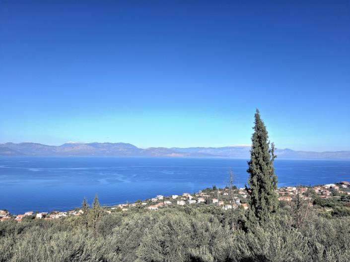 Image No.29-3 Bed House for sale