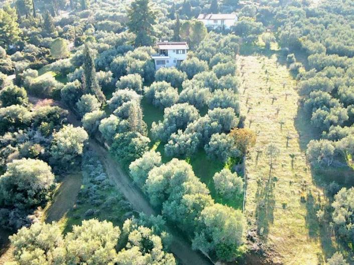 Image No.37-3 Bed House for sale