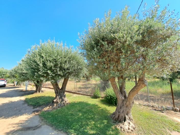 Image No.23-4 Bed House for sale