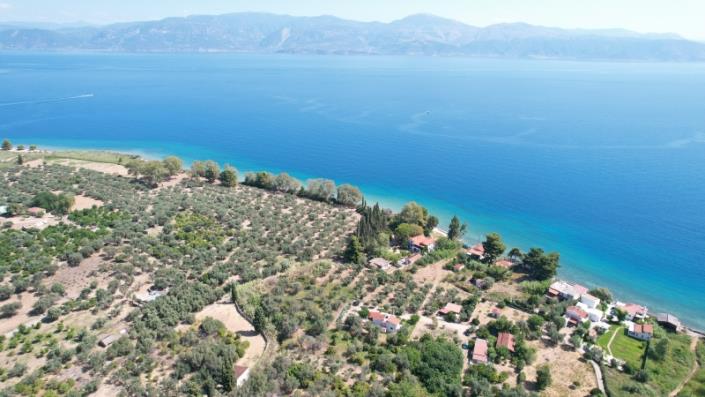 Image No.32-4 Bed House for sale