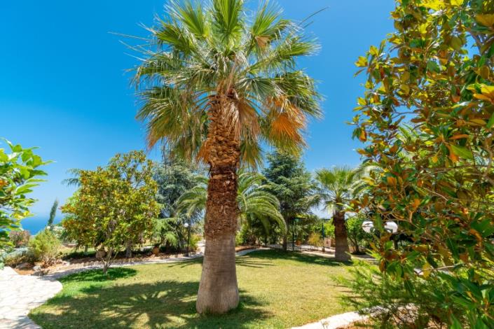 Image No.5-5 Bed Villa for sale