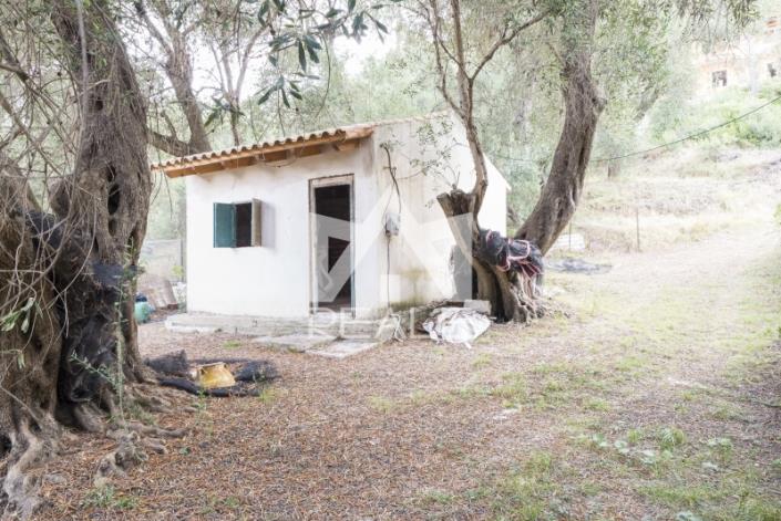 Image No.9-2 Bed Studio for sale