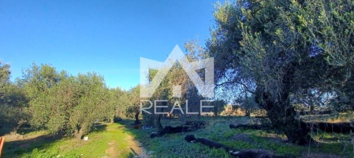 Image No.4-Plot for sale