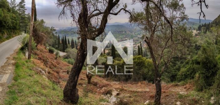 Image No.2-Plot for sale